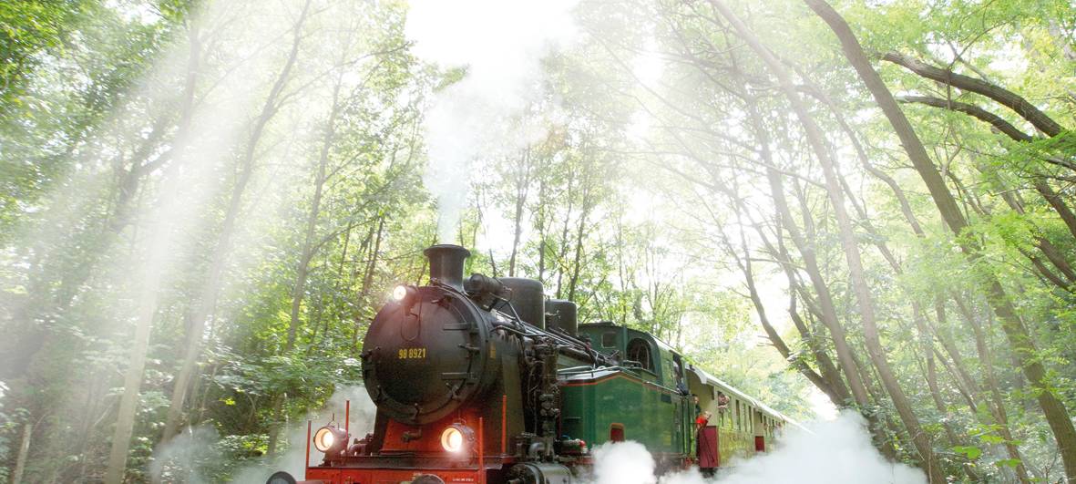 Bilanz 2018: Tausende Fahrgäste nutzen "Schluff"