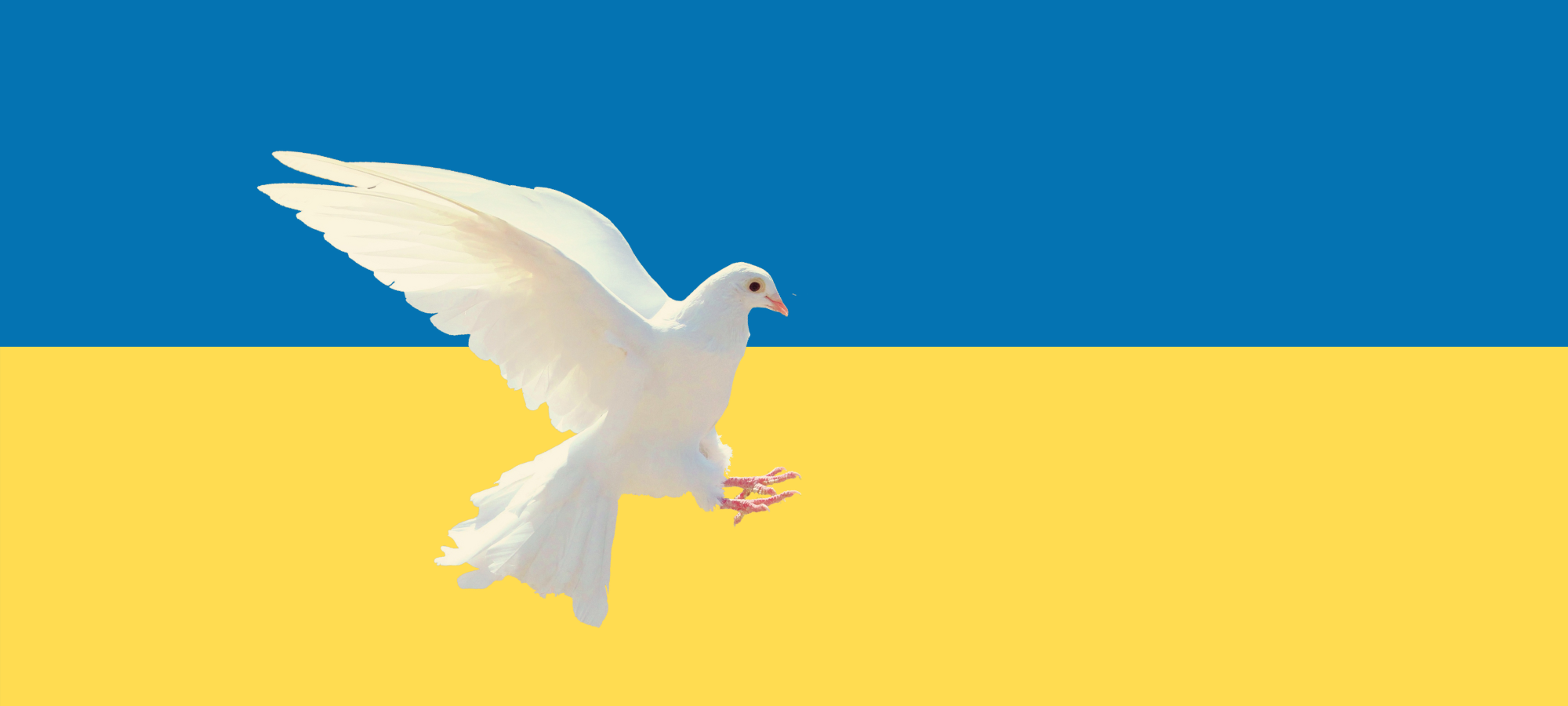 Krieg in der Ukraine - wie kann ich helfen?