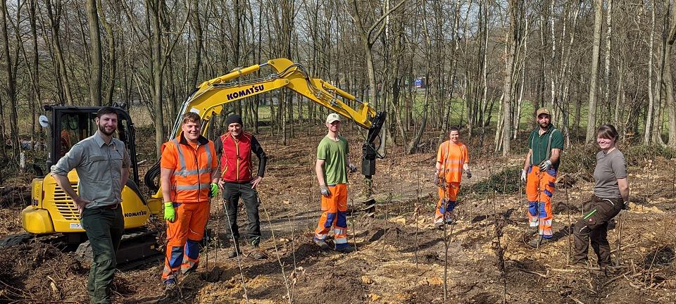 Viersen: Stadt forstet ihre Wälder auf