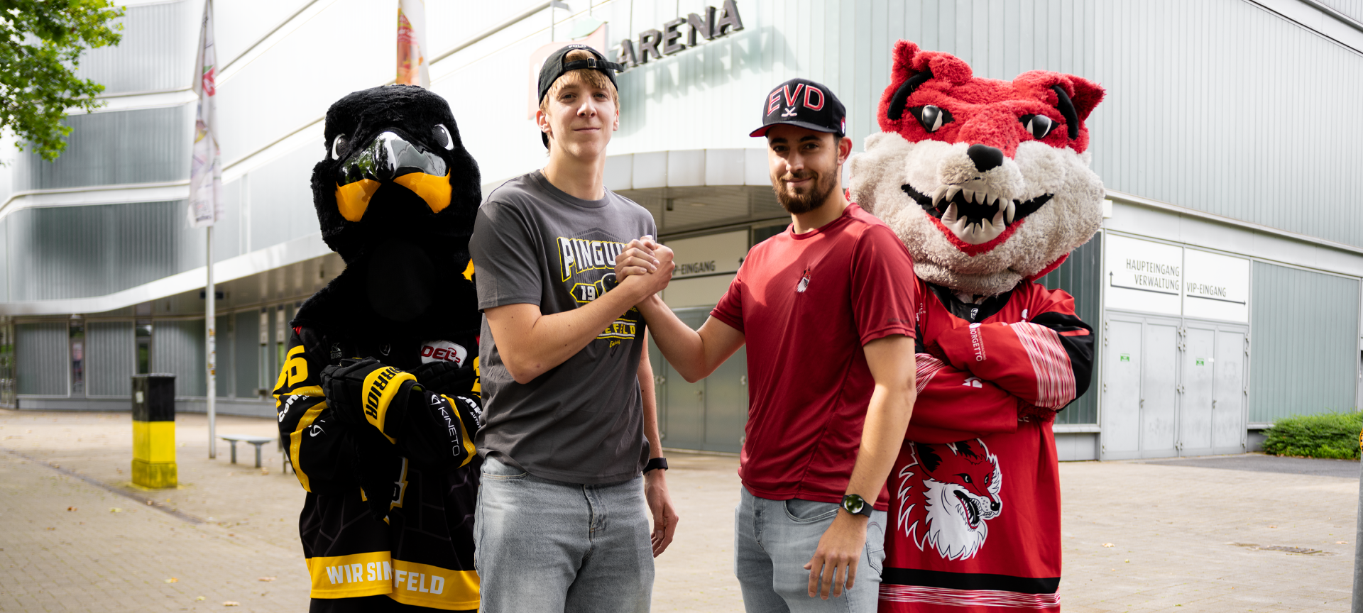 Krefeld Pinguine: Kooperation mit Füchsen Duisburg