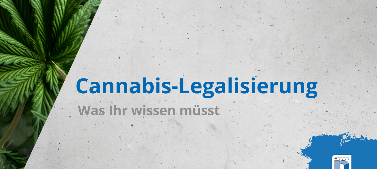 Cannabis-Legalisierung: Was ihr wissen müsst