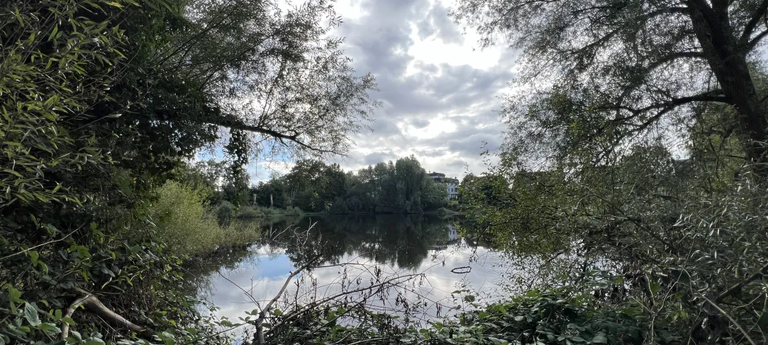 Grundwasserspiegel: Hover Kull in Willich teilweise gesperrt