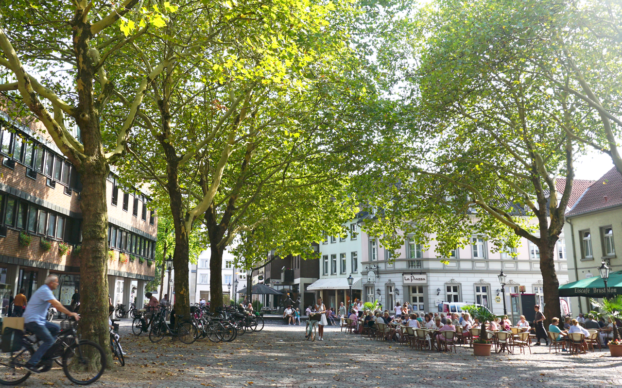 Fridays For Future Demo In Kempen Welle Niederrhein