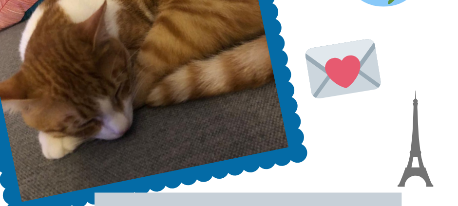 Kater Romeo auf Weltreise